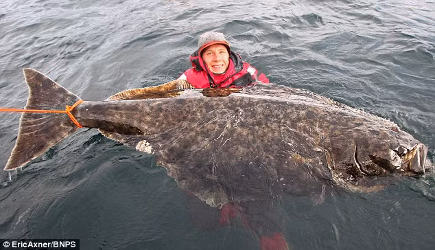Chan dung ca bon khong lo nang 100 kg vua can cau-Hinh-2