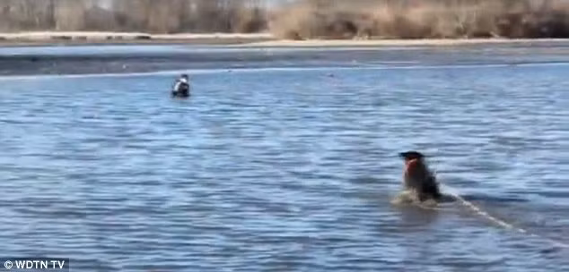 Xuc dong canh cho cuu chu mac ket duoi bun