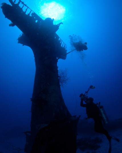 San hô dần bao phủ xác máy bay nằm lại dưới đáy biển.