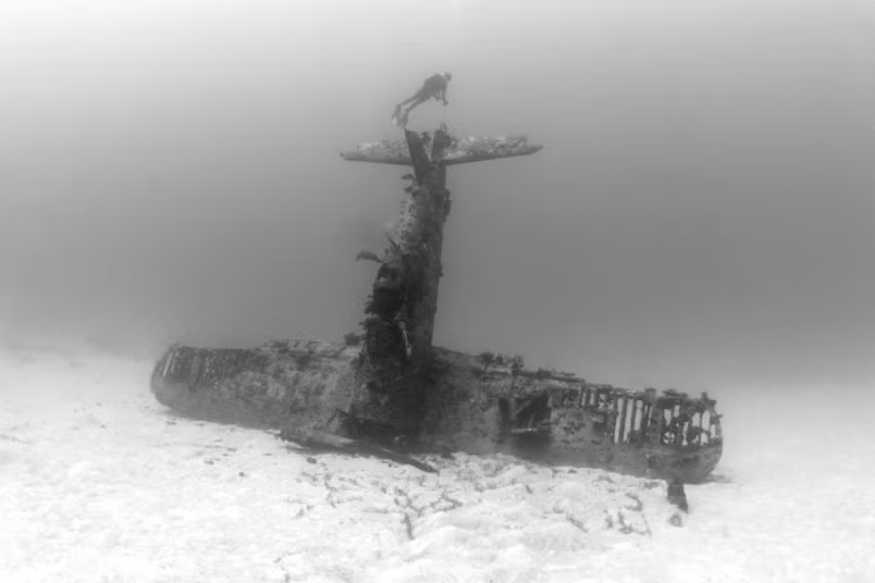 Nhiếp ảnh gia Brandi Mueller đã lặn xuống độ sâu 40m để ghi lại những hình ảnh này.