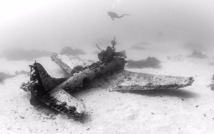 Xác máy bay gồm nhiều loại khác nhau bao gồm: 4U Corsair, TBF/TBM Avengers, Helldivers, B-25 Mitchell, Curtiss C-46 Commando và F4F Wildcats.