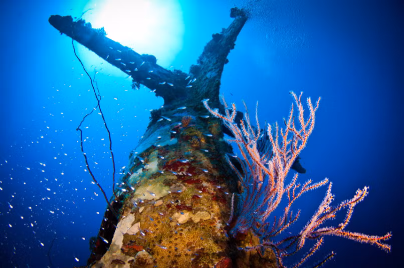 Có khoảng 150 xác máy bay chiến đấu tại nghĩa địa dưới đáy biển này.