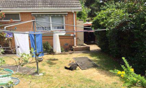 Ho tu than nuot chung nguoi phu nu dang phoi quan ao