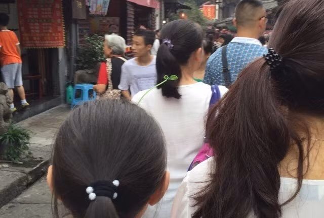 Trào lưu này được cho là một cách phản đối tình trạng ô nhiễm không khí ở mức báo động tại thành phố Bắc Kinh.