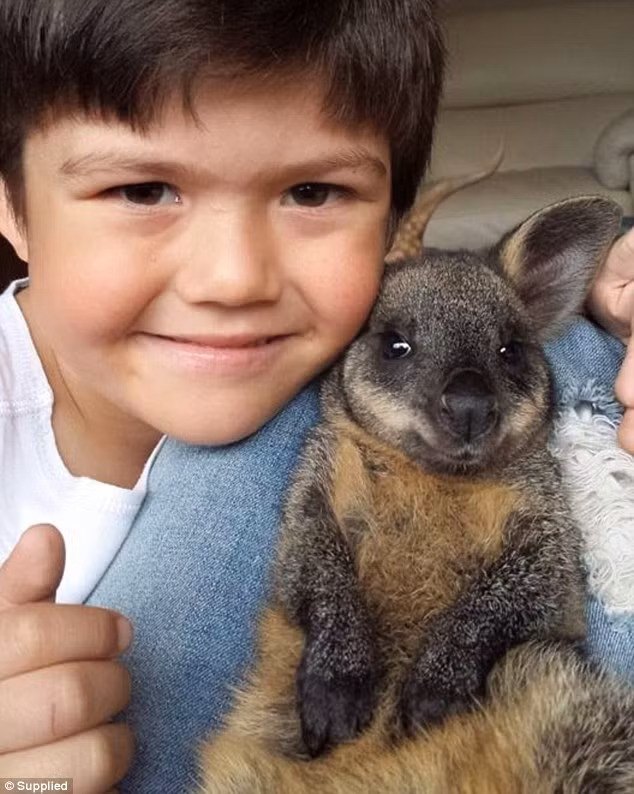 Charlie chăm sóc một con kangaroo nhỏ.