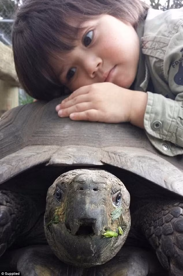 Cậu bé 5 tuổi hiện đang làm việc với vai trò chuyên gia động vật trong công viên động vật hoang dã của bố mẹ.