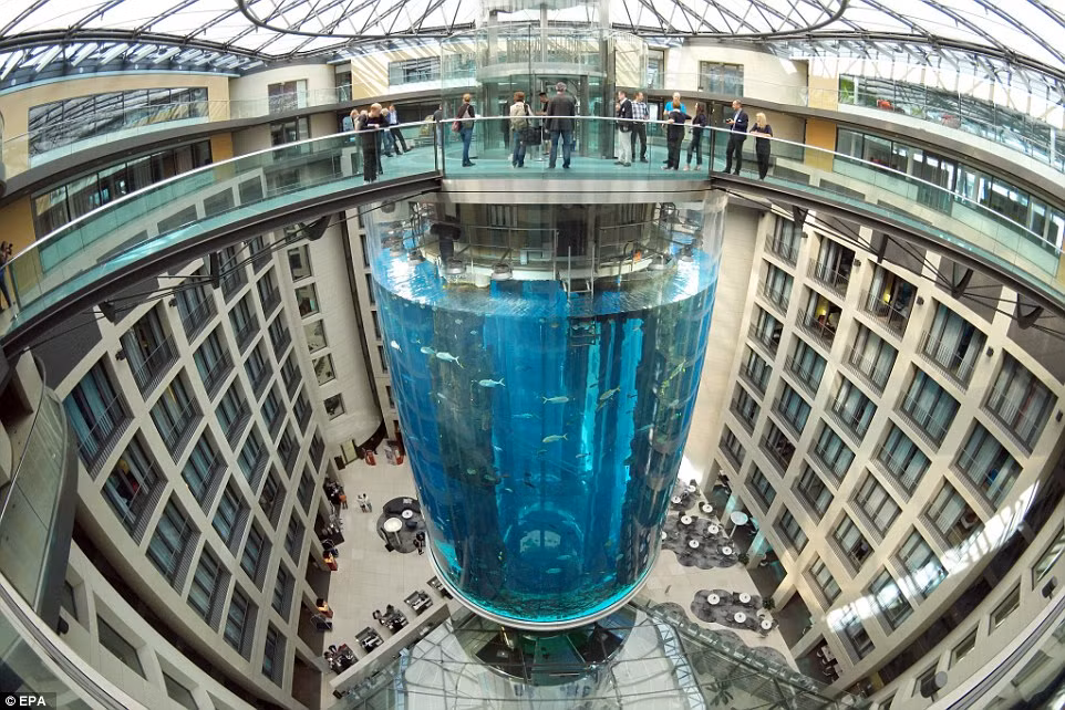 Thành bể được làm bằng kính chịu lực dày 22cm.