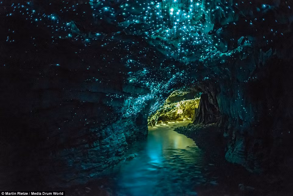 Một trong những cảnh đẹp ngoạn mục không nên bỏ qua là ở hang động Wiatomo Glowworm trên đảo North, New Zealand.