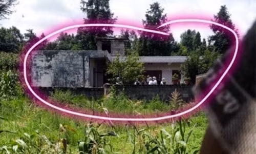 TQ: O nha mot minh, hai chi em chet tham