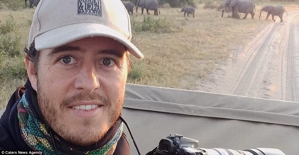 Cảnh tượng được nhiếp ảnh gia Wilson ghi lại trong một chuyến khám phá cuối tuần tại vườn quốc gia Hwange ở Zimbabwe.