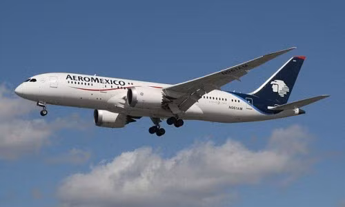 Khoang hanh ly boc chay, Boeing 787 Dreamliner ha canh khan cap