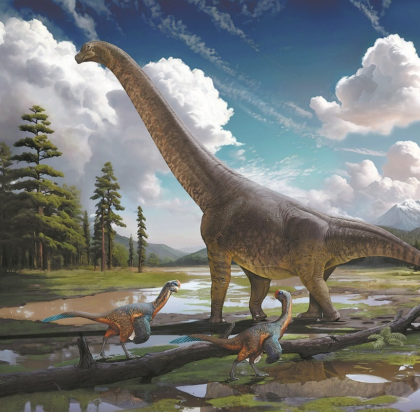 Với kích thước khổng lồ, Sauropoda đóng vai trò quan trọng trong hệ sinh thái tiền sử. Chúng giúp duy trì cân bằng sinh thái bằng cách ăn cỏ và cây cối, từ đó ảnh hưởng đến sự phát triển của thảm thực vật.