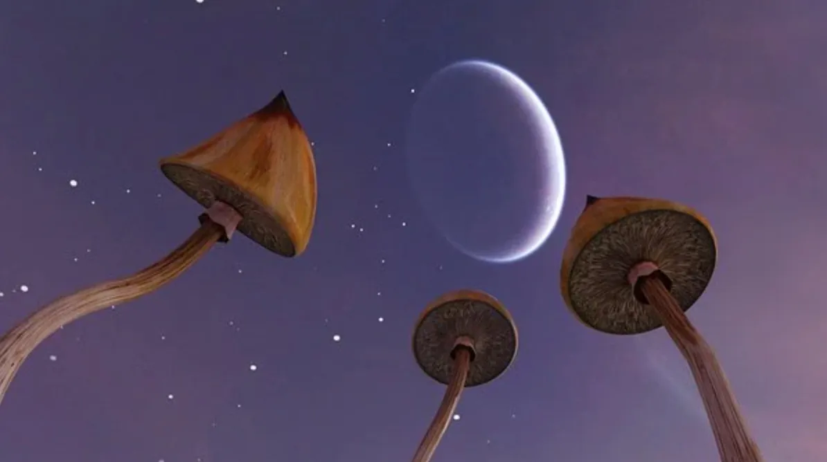 Trong những năm gần đây, các nhà khoa học đã phát hiện ra rằng nấm có khả năng phát triển mạnh mẽ trong môi trường vũ trụ. Điều này đã mở ra nhiều cơ hội nghiên cứu và ứng dụng mới, đặc biệt trong bối cảnh con người đang hướng tới việc khám phá và định cư ngoài Trái Đất. Vậy tại sao nấm lại có thể phát triển mạnh trong vũ trụ? (Ảnh:Boing Boing)