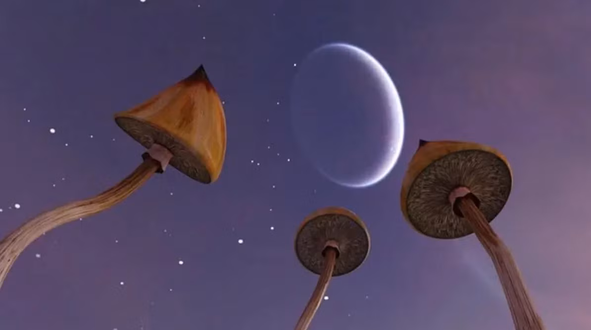 Trong những năm gần đây, các nhà khoa học đã phát hiện ra rằng nấm có khả năng phát triển mạnh mẽ trong môi trường vũ trụ. Điều này đã mở ra nhiều cơ hội nghiên cứu và ứng dụng mới, đặc biệt trong bối cảnh con người đang hướng tới việc khám phá và định cư ngoài Trái Đất. Vậy tại sao nấm lại có thể phát triển mạnh trong vũ trụ? (Ảnh:Boing Boing)