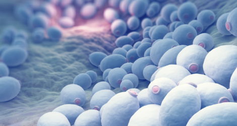 Nấm không chỉ phát triển mạnh trong vũ trụ mà còn được sử dụng rộng rãi trong các nghiên cứu khoa học. (Ảnh:Pacific LAB)