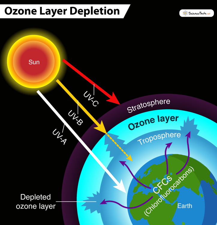 Tầng ozone hoạt động như một lá chắn tự nhiên, ngăn chặn các tia UV có thể gây hại cho con người và các sinh vật sống khác. Nếu không có tầng ozone, các tia UV này có thể gây ra nhiều vấn đề nghiêm trọng như ung thư da, đục thủy tinh thể, và suy giảm hệ miễn dịch ở con người. Ngoài ra, chúng còn ảnh hưởng tiêu cực đến hệ sinh thái biển, làm giảm năng suất cây trồng và gây hại cho các vật liệu xây dựng. (Ảnh: My Chem Cafe)