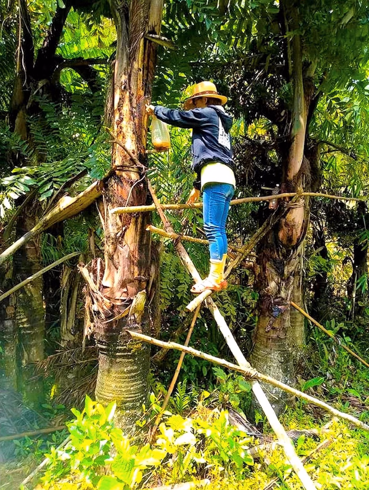 Rượu Đoák cũng góp phần không nhỏ vào kinh tế địa phương, khi ngày càng nhiều du khách tìm đến để thưởng thức và mua về làm quà. (Ảnh: Báo Dân tộc và Phát triển)