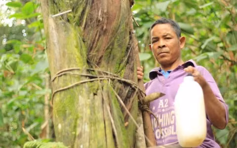 Rượu Đoák có vị cay nồng, thơm mát, mang đậm hương vị của núi rừng. Mỗi mùa, rượu lại có hương vị đặc trưng khác nhau, nhưng ngon nhất vẫn là vào mùa xuân, khi rượu có độ ngọt vừa phải hòa quyện với mùi thơm của phấn hoa rừng. (Ảnh: Dân Việt)