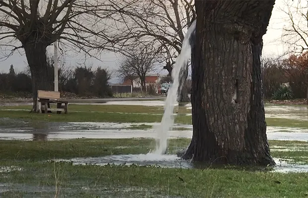 Người dân địa phương coi cây này là “cây ước nguyện” và thường đến lấy nước về uống với mong muốn có được may mắn và thành công trong cuộc sống. (Ảnh: Unusual Places)