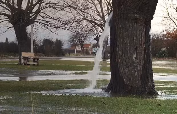 Người dân địa phương coi cây này là “cây ước nguyện” và thường đến lấy nước về uống với mong muốn có được may mắn và thành công trong cuộc sống. (Ảnh: Unusual Places)