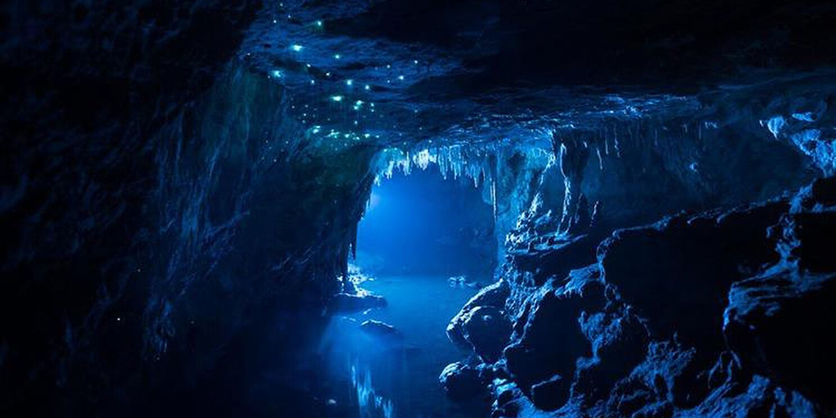 5. Hang động Waitomo Glowworm (New Zealand): Hang động này nổi tiếng với hàng ngàn con đom đóm phát sáng, tạo nên một khung cảnh lung linh như dải ngân hà dưới lòng đất.