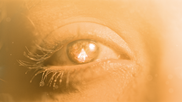 6. "Tiếng hét của xác chết": Đôi khi, khí gas tích tụ trong cơ thể có thể phát ra tiếng rít hoặc tiếng gầm giống như tiếng hét, khiến cảnh tượng đáng sợ hơn.(Ảnh: IndieWire)