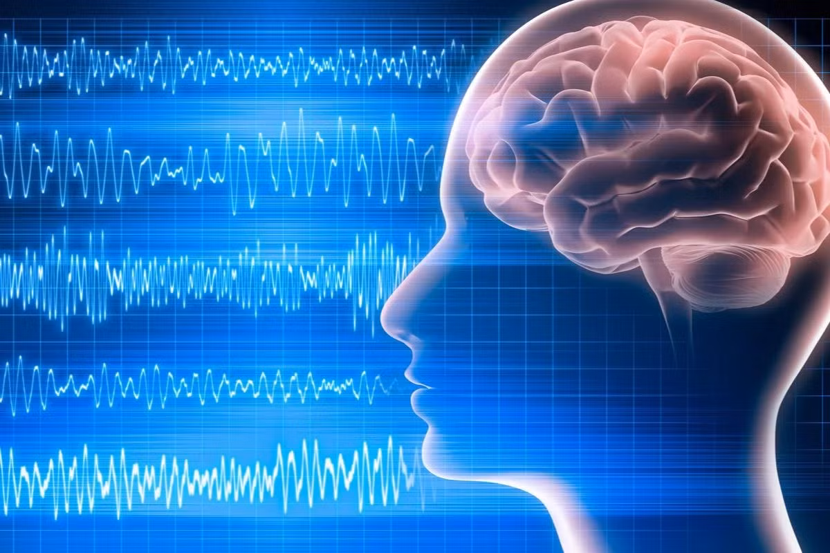 Theo IFL Science, các nhà khoa học đã ghi lại hoạt động não của một người đàn ông 87 tuổi khi ông qua đời sau một cơn đau tim. Điện não đồ (EEG) cho thấy các mô hình hoạt động liên quan đến giấc mơ và hồi tưởng trí nhớ bùng nổ ngay khi tim ngừng đập và tiếp tục trong một thời gian sau đó. (Ảnh: News-Medical)