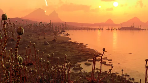 4. Giả thuyết đất hiếm: Giả thuyết này cho rằng sự sống phức tạp như trên Trái Đất là cực kỳ hiếm hoi trong vũ trụ. Điều kiện cần thiết để sự sống phát triển có thể chỉ tồn tại ở một số ít hành tinh, làm giảm khả năng chúng ta gặp được người ngoài hành tinh.(Ảnh:BBC)