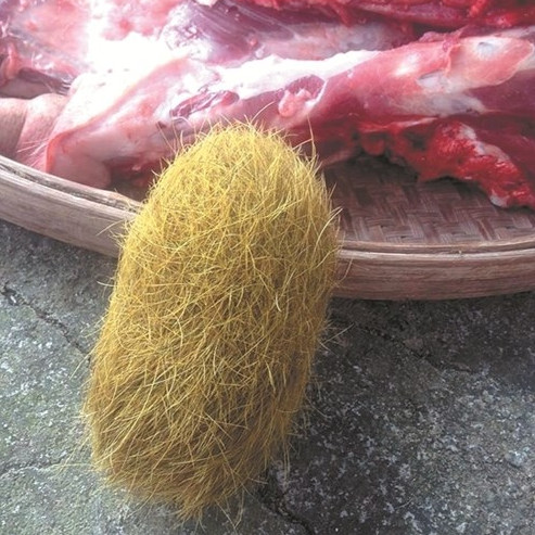 Các loại sỏi mật được sử dụng trong y học cổ truyền thường là từ trâu, bò, ngựa, hoặc chó, chứ không phải từ lợn.