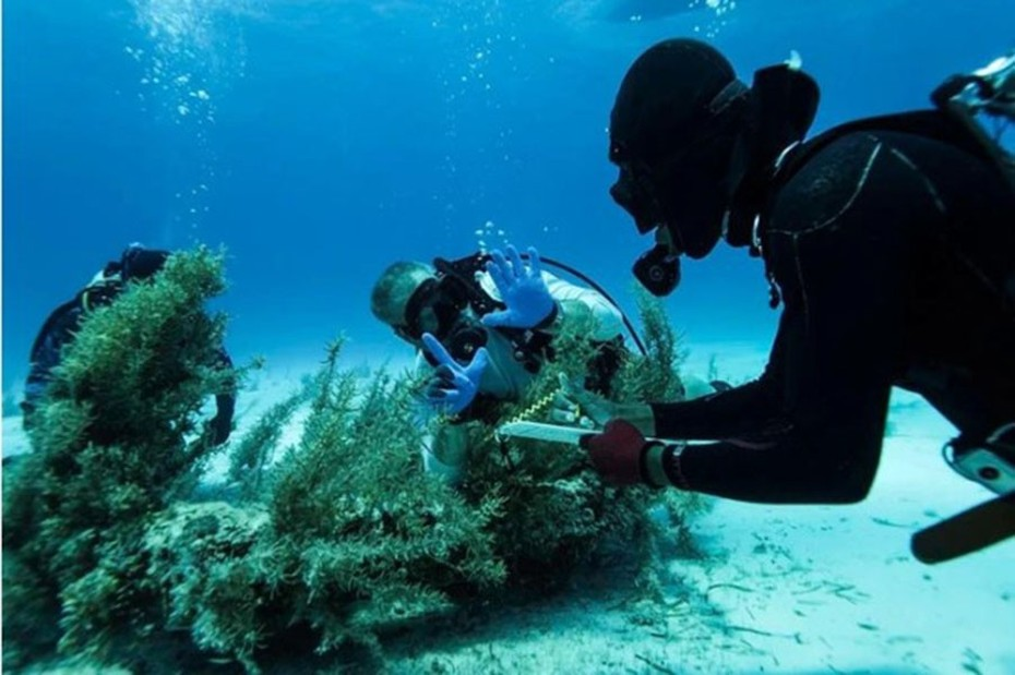 5. Kho báu của con tàu “Quý bà của những kỳ quan”: Sau 350 năm nằm sâu dưới đáy biển, kho báu trên con tàu đắm “Quý bà của những kỳ quan” đã được tìm thấy, gây bất ngờ cho các nhà khảo cổ học. Con tàu Nuestra Señora de las Maravillas, bị đắm vào năm 1656 ngoài khơi Bahamas, chứa đầy của cải khi đang trên đường trở về Tây Ban Nha. (Ảnh: Người đưa tin)