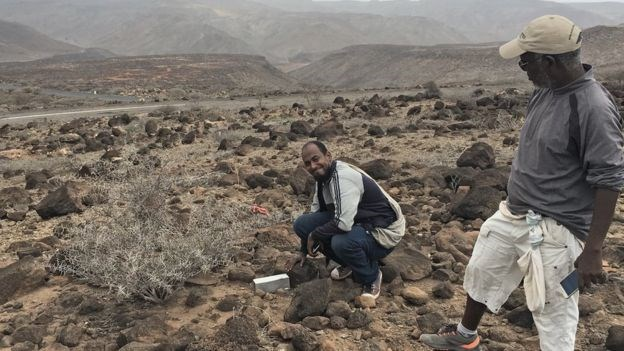 Chuột chù voi Somali không chỉ là một loài vật độc đáo với vẻ ngoài kỳ lạ mà còn là biểu tượng của sự kiên trì và hy vọng trong công tác bảo tồn thiên nhiên. Sự tái xuất của chúng là minh chứng cho thấy rằng, dù có những loài vật tưởng chừng đã biến mất, nhưng với nỗ lực và sự kiên trì, chúng ta vẫn có thể tìm lại và bảo vệ chúng cho các thế hệ tương lai.(Ảnh: Hiiraan Online)