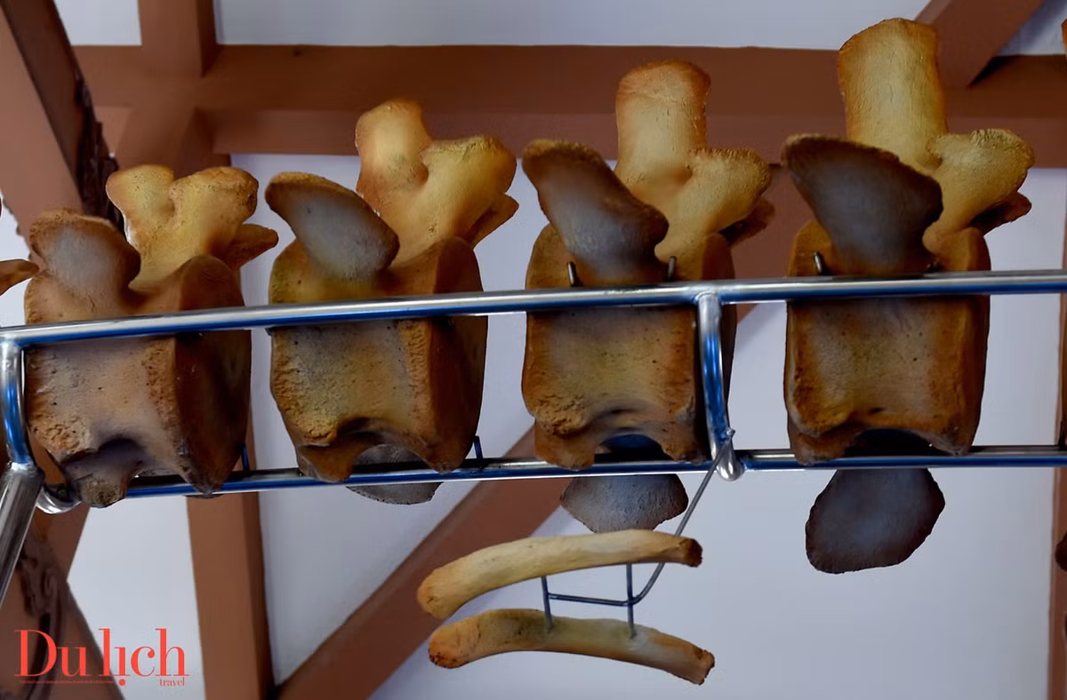 Hai bộ xương cá Ông ở đảo Lý Sơn không chỉ là di sản văn hóa quý báu mà còn là minh chứng cho sự gắn kết giữa con người và biển cả. Việc xác lập kỷ lục Việt Nam cho hai bộ xương này là một bước tiến quan trọng trong việc bảo tồn và phát huy giá trị di sản văn hóa của huyện đảo Lý Sơn. (Ảnh: Tạp chí du lịch)