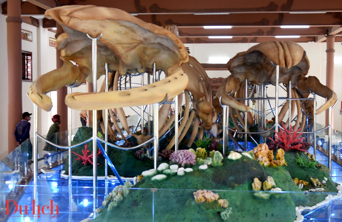 Hai bộ xương cá Ông, hay còn gọi là cá voi, được trưng bày tại Di tích Lăng Tân, huyện Lý Sơn. Bộ xương lớn hơn, được người dân gọi là “Đồng Đình Đại Vương”, có chiều dài trên 22 mét. (Ảnh: Tạp chí du lịch)