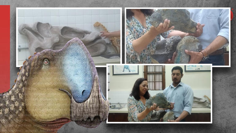 Phát hiện về Coahuilasaurus lipani không chỉ mở rộng hiểu biết của chúng ta về sự đa dạng của các loài khủng long ở Bắc Mỹ mà còn cung cấp thêm thông tin về hệ sinh thái và môi trường sống của chúng vào cuối kỷ Phấn Trắng. (Ảnh: MSN) 