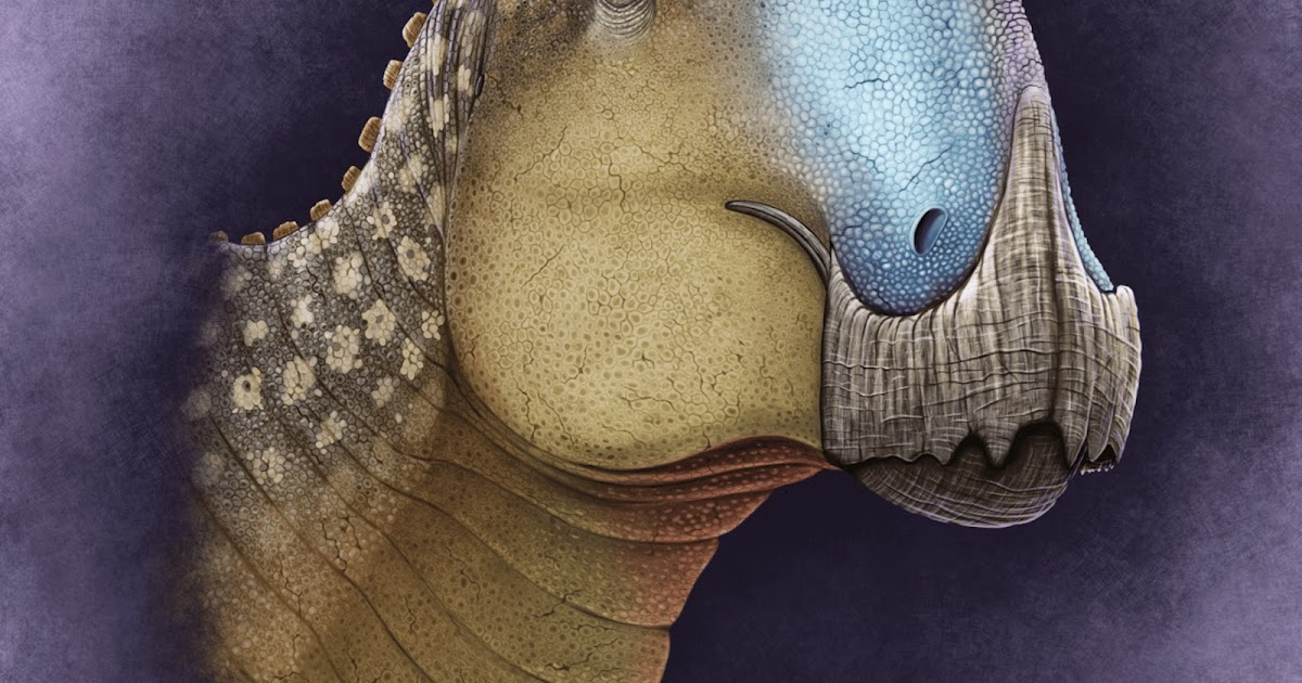 Phát hiện này không chỉ là một bước tiến lớn trong lĩnh vực cổ sinh vật học mà còn là một lời nhắc nhở về những bí ẩn vẫn còn chờ đợi chúng ta khám phá. (Ảnh: Species New to Science)