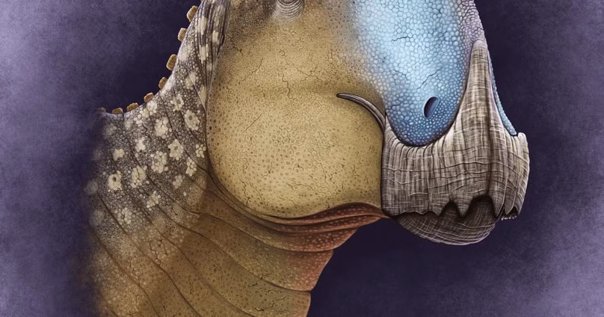 Phát hiện này không chỉ là một bước tiến lớn trong lĩnh vực cổ sinh vật học mà còn là một lời nhắc nhở về những bí ẩn vẫn còn chờ đợi chúng ta khám phá. (Ảnh: Species New to Science)