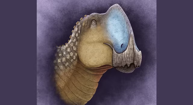 Theo Sci-News, các nhà khoa học đã công bố sự tồn tại của một loài khủng long mới mang tên Coahuilasaurus lipani. Loài "quái thú" này được tìm thấy tại hệ tầng Cerro del Pueblo ở Coahuila, Mexico, và sống vào khoảng 72,5 triệu năm trước, vào cuối kỷ Phấn Trắng. (Ảnh: C. Díaz Fría)