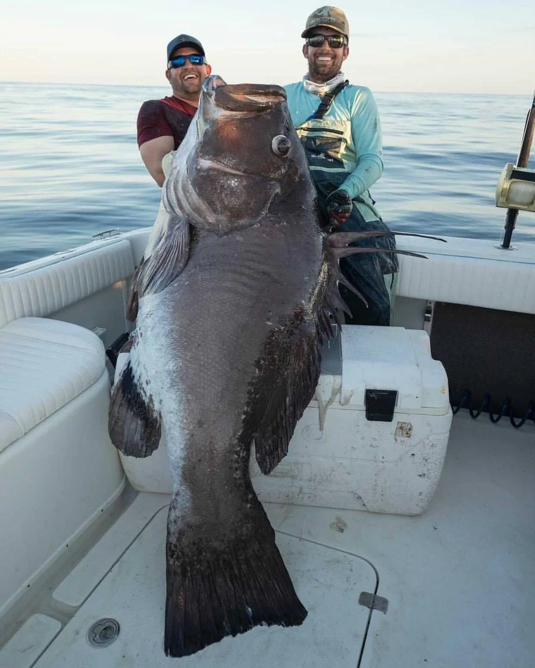 Loài cá này thường sống ở độ sâu từ 55 đến 520 mét dưới biển, nơi chúng thích nghi với môi trường đáy đá và rạn san hô. (Ảnh:Reddit)