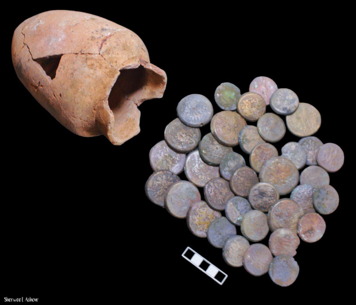 Đặc biệt, nhóm nghiên cứu đã tìm thấy 38 đồng tiền bằng đồng trong một bình gốm, có niên đại từ thời kỳ Ptolemaic. Một số đồng xu được khắc hình đầu của Zeus Ammon, một vị thần kết hợp giữa thần Zeus của Hy Lạp và thần Ammon của Ai Cập. (Ảnh: Sherweet Ashour)