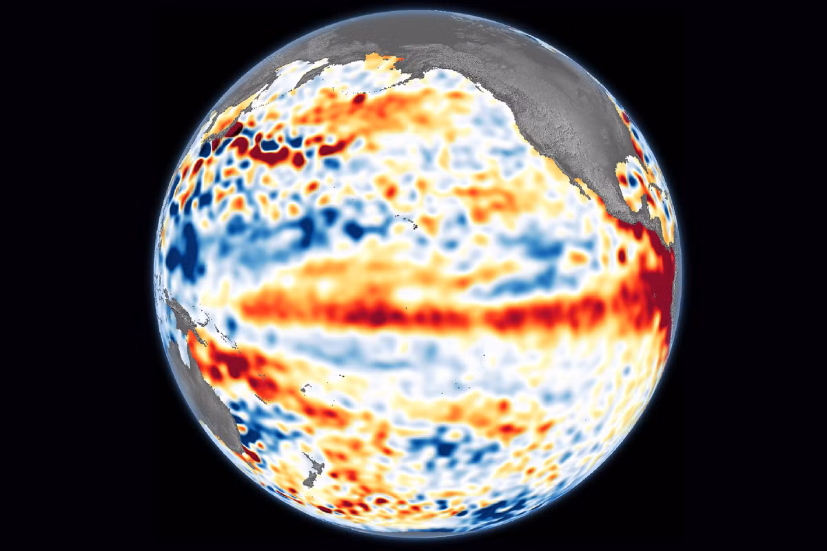Các nhà khoa học dự đoán rằng có khoảng 25% khả năng sự kiện El Nino hiện tại sẽ vượt quá 2 độ C ở đỉnh điểm, tiến đến một Siêu El Nino.(Ảnh: NASA Earth Observatory)