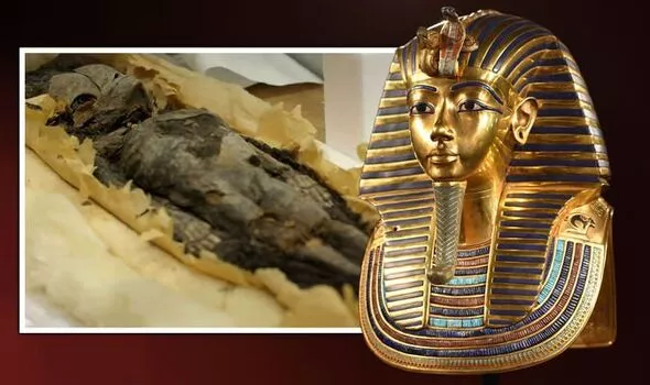 2. Vua Tutankhamun qua đời do tai nạn: Vết nứt trong hộp sọ của ông có thể do tai nạn trong quá trình ướp xác hoặc trong cuộc khai quật.