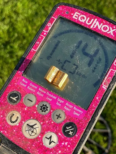 Trong khi tìm kiếm, máy dò kim loại của cô phát hiện tín hiệu mạnh, và sau khi đào sâu 13cm, Bailey tìm thấy một cuốn Kinh thánh nhỏ bằng vàng 22 hoặc 24 carat có niên đại từ thế kỷ 15. (Ảnh:BNPS)