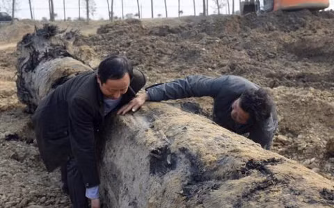 Gỗ âm trầm nổi bật với độ bền cao, khả năng chống ẩm tốt và không bị mục nát trong bất kỳ điều kiện khí hậu nào. Mùi thơm tự nhiên của gỗ cũng là một điểm cộng, giúp xua đuổi mối mọt và tạo cảm giác dễ chịu.