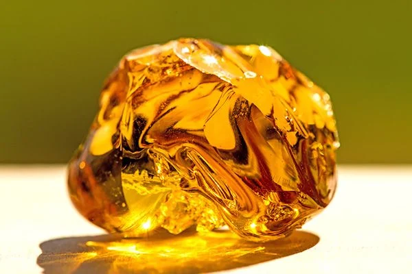 Hổ phách là một món quà quý giá từ thiên nhiên, mang trong mình vẻ đẹp và giá trị vượt thời gian. Từ những viên hổ phách nhỏ bé, chúng ta có thể khám phá ra nhiều điều kỳ diệu về lịch sử và văn hóa của loài người.(Ảnh:De Memoria)