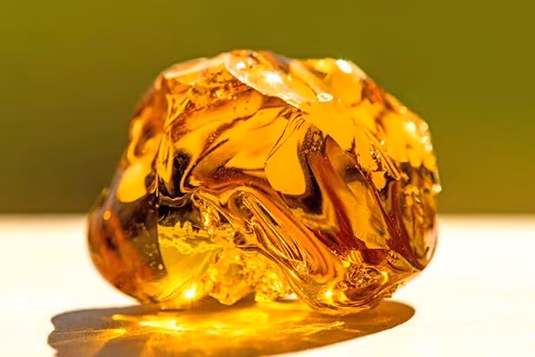 Hổ phách là một món quà quý giá từ thiên nhiên, mang trong mình vẻ đẹp và giá trị vượt thời gian. Từ những viên hổ phách nhỏ bé, chúng ta có thể khám phá ra nhiều điều kỳ diệu về lịch sử và văn hóa của loài người.(Ảnh:De Memoria)