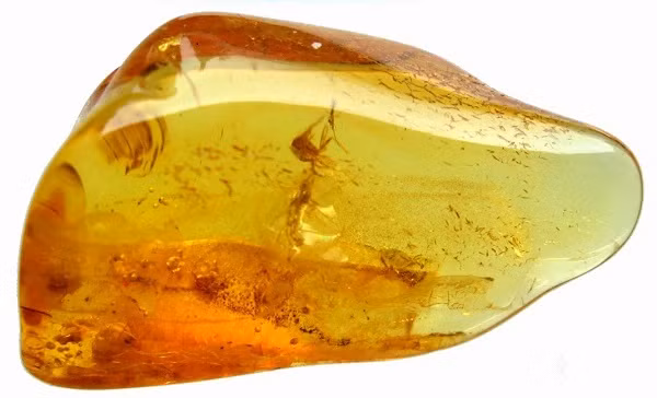 Ngoài ra, hổ phách còn được cho là mang lại may mắn và bảo vệ người đeo khỏi những điều xấu.(Ảnh:Ambeary Jewellery)