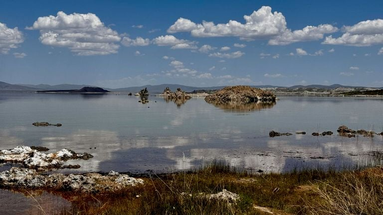 Mono Lake nổi tiếng với môi trường khắc nghiệt, chứa nhiều muối, arsenic và cyanide. Tuy nhiên, Barroeca monosierra đã thích nghi và phát triển mạnh mẽ trong điều kiện này. (Ảnh: canaltech)