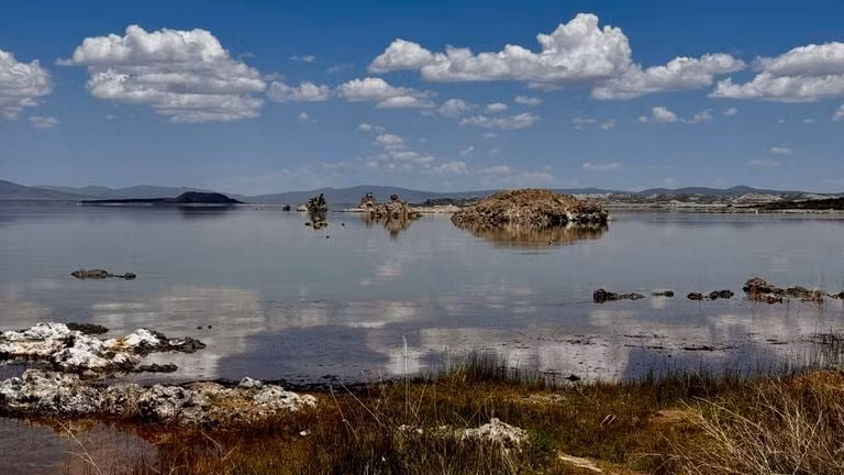Mono Lake nổi tiếng với môi trường khắc nghiệt, chứa nhiều muối, arsenic và cyanide. Tuy nhiên, Barroeca monosierra đã thích nghi và phát triển mạnh mẽ trong điều kiện này. (Ảnh: canaltech)