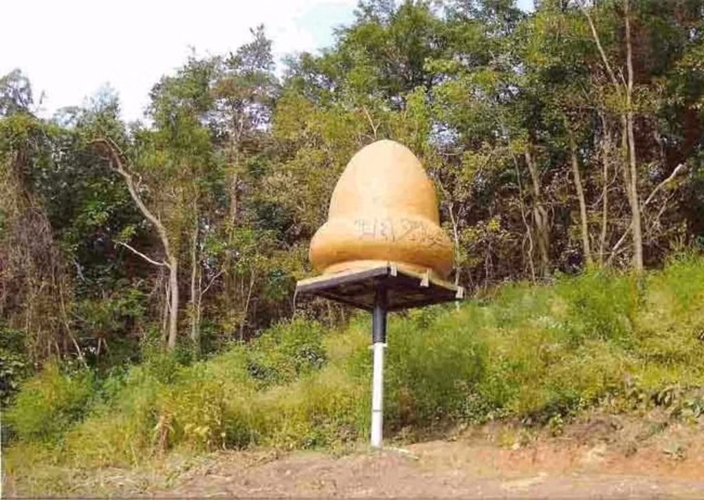 8. Sự cố Kecksburg: Năm 1965, cư dân bang Pennsylvania báo cáo một vật thể lớn rơi xuống, sau đó được quân đội bao vây và che giấu.(Ảnh:NBC News)