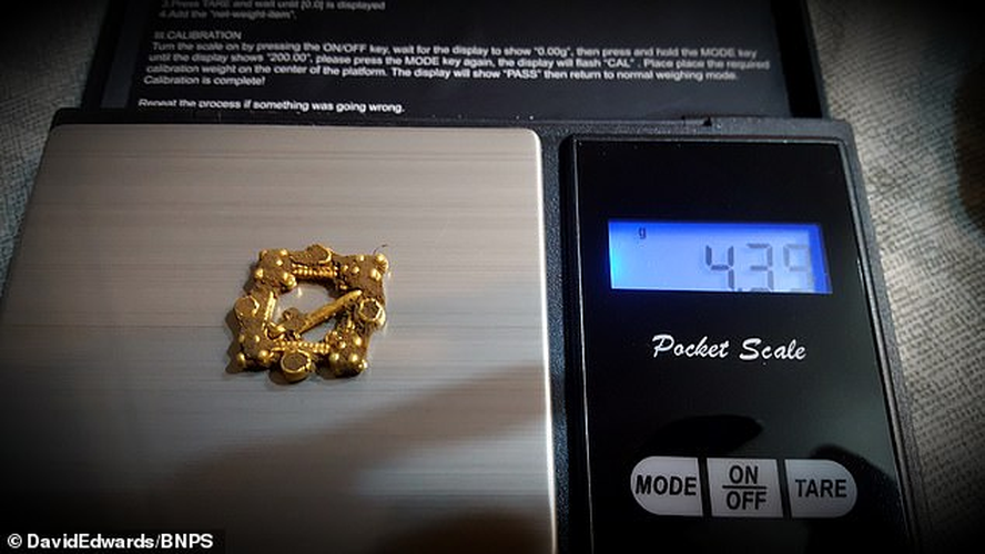 Chiếc trâm được các chuyên gia định giá ít nhất 10.000 bảng Anh và có thể bán được giá gấp 10 lần con số đó, tức khoảng 3,2 tỷ đồng, khi mang ra đấu giá. (Ảnh: lovecpokladu.cz)